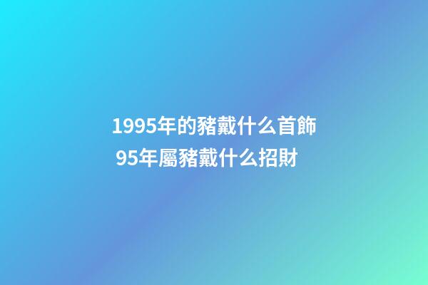 1995年的豬戴什么首飾 95年屬豬戴什么招財-第1張-觀點-玄機派